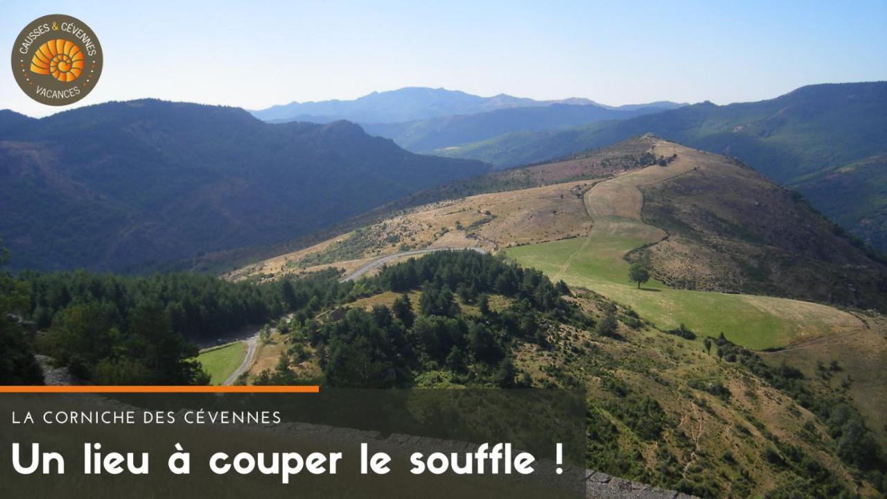 Sainte-Croix-Vallee-Francaise Alberguiere - Piscine Chauffee - Plancha - Barbecue מראה חיצוני תמונה